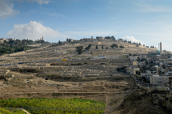 275 City of David