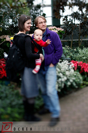 Ocken_xmas_05
