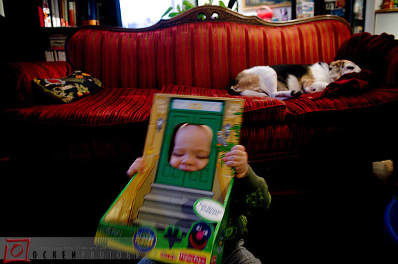 DSC_4013