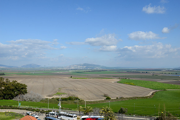 1172 Tel Megiddo