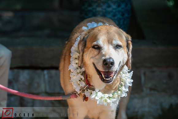 332 2022 Robin + Jason