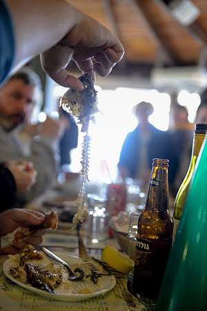 1747 Fish Lunch