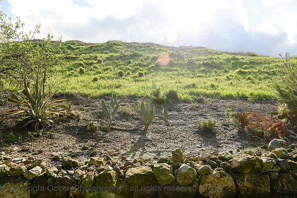 1144 Tel Megiddo