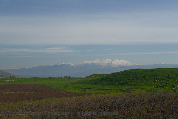 1251 Mount Hermon