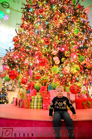 010 Holiday 2010 Evan
