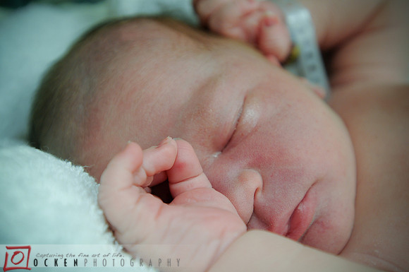 010 Evan Robert