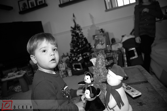 033 2011 Christmas