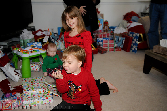 036 2011 Christmas