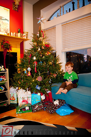 014 2011 Christmas
