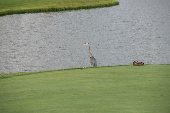 362 2025 Golf Tournament