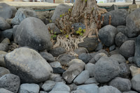 1638 Service on the Sea of Galilee