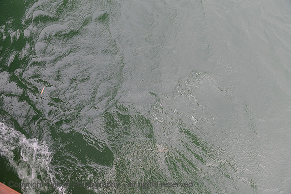 1653 Service on the Sea of Galilee