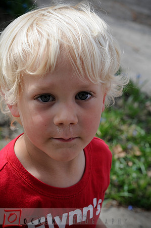 117 Easter 2010