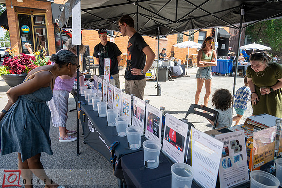 247 2025 Food Aid Festival