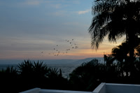 1628 Sun Rise