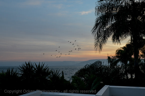 1628 Sun Rise