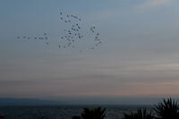 1626 Sun Rise