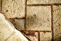 073 Palm Sunday Road