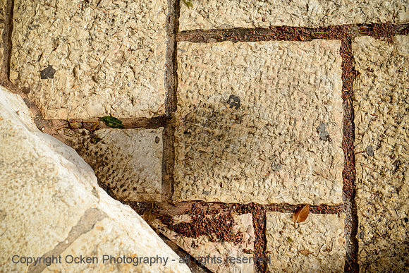 073 Palm Sunday Road