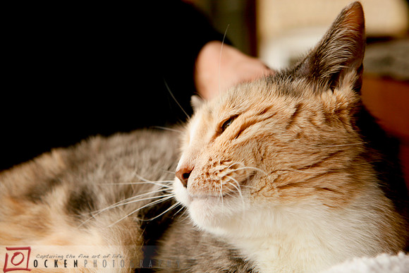 Brunch_120311_04