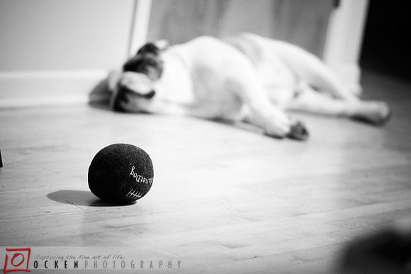 _MG_2555