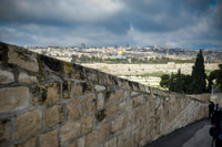 054 Palm Sunday Road