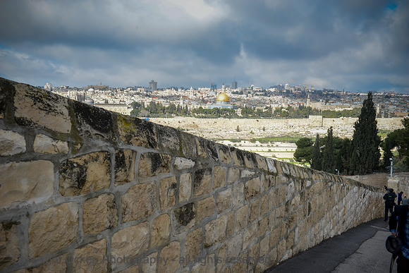 054 Palm Sunday Road