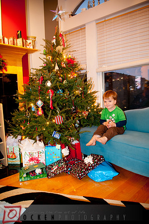 013 2011 Christmas