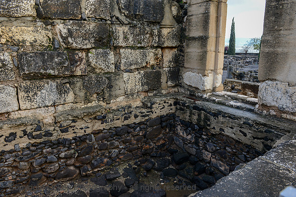 1004 Capernaum