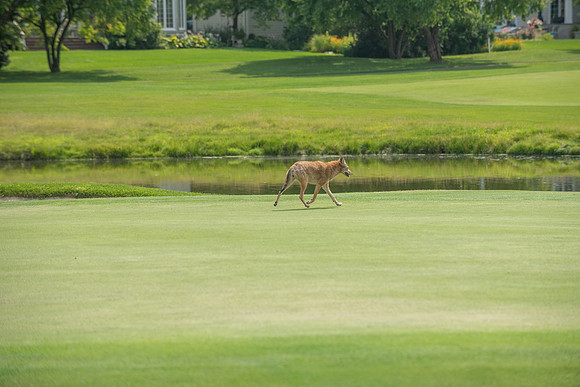 252 2025 Golf Tournament
