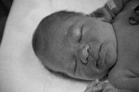 005 Evan Robert